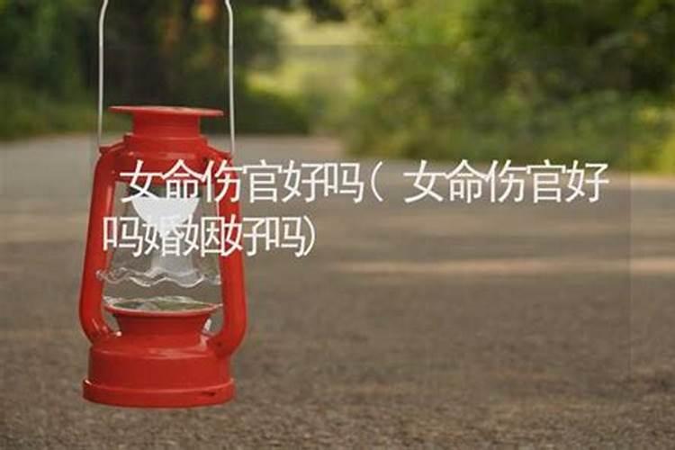 梦见家里好多老鼠屎的预兆