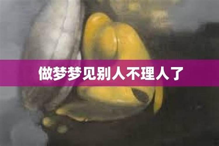 梦见有人不理自己的预兆
