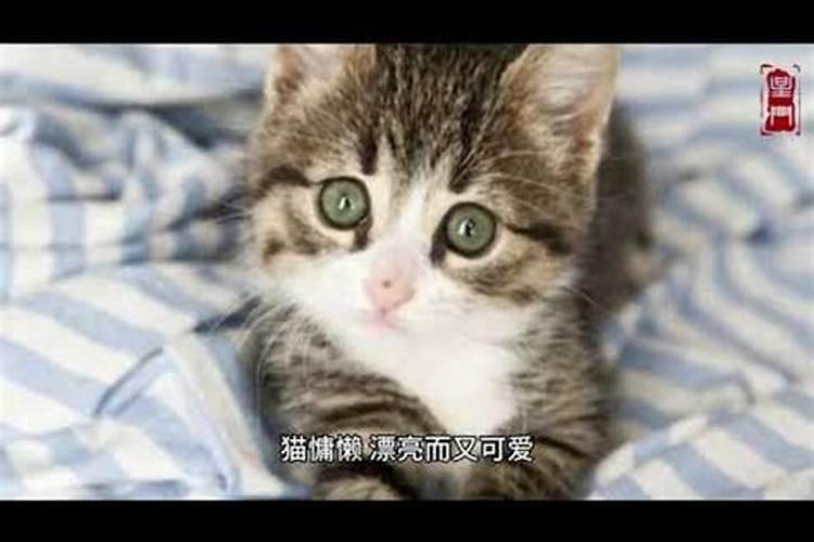 主卧床的摆设风水,床头应该朝向哪边？