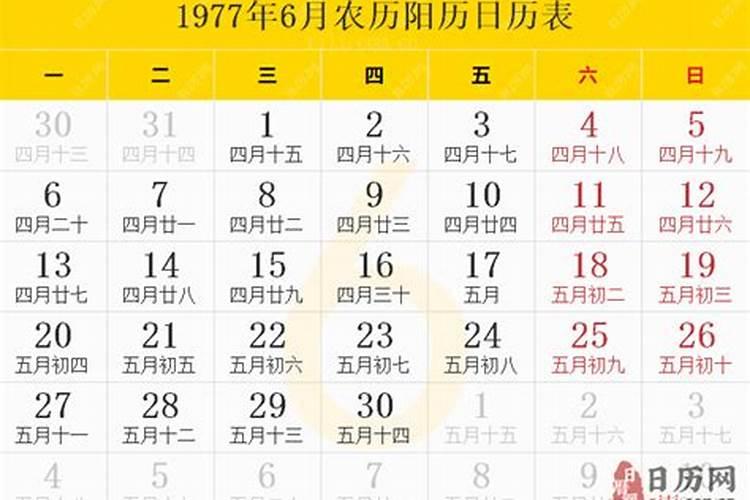 77年属蛇2024年运势及运程如何