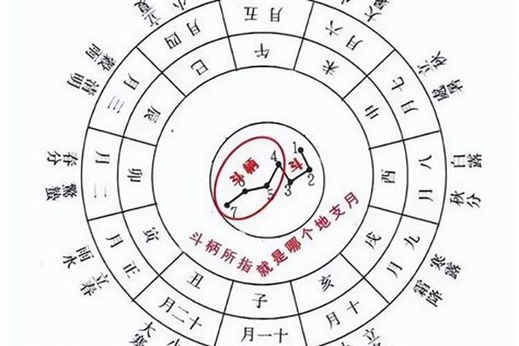93年正月初二中午11点生的女孩生辰八字和命运
