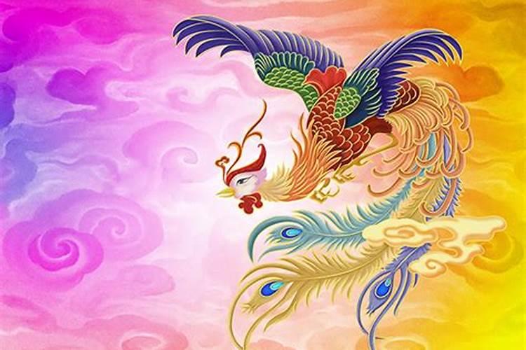 女人梦见凤凰是胎梦吗,孕妇梦见凤凰是胎梦吗