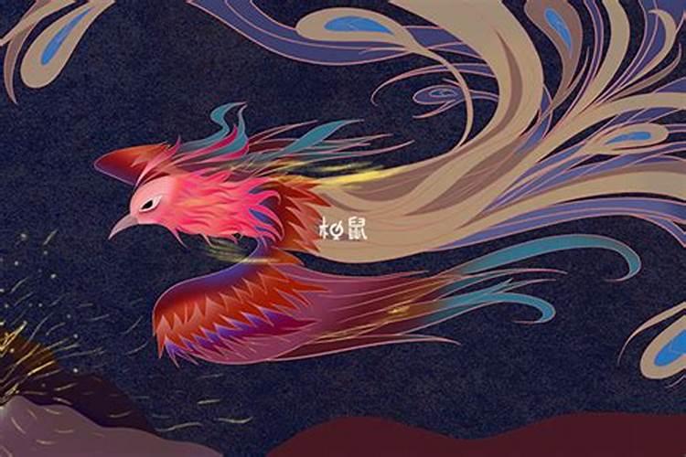 梦见黑凤凰是什么意思？
