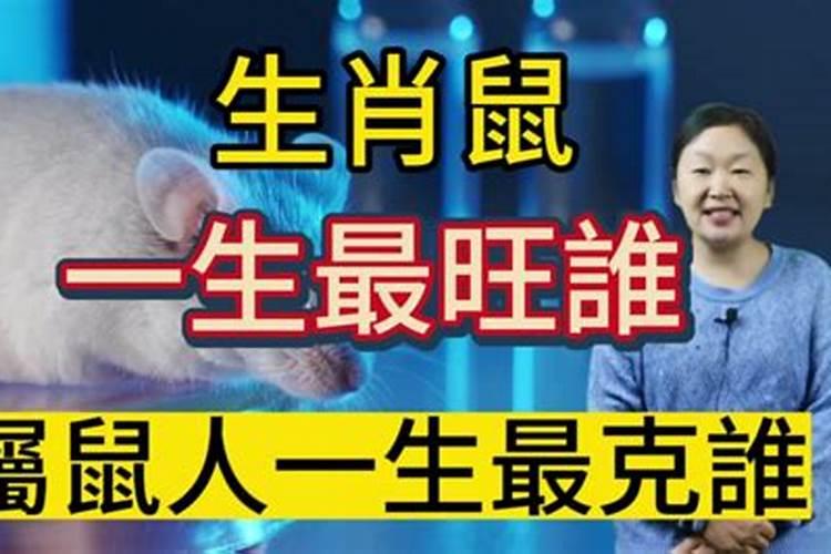 2025年对属鼠的人怎么样？
