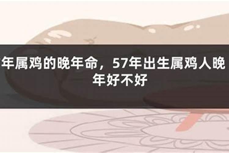 属鸡的为什么腊月出生不好为名为利终日劳