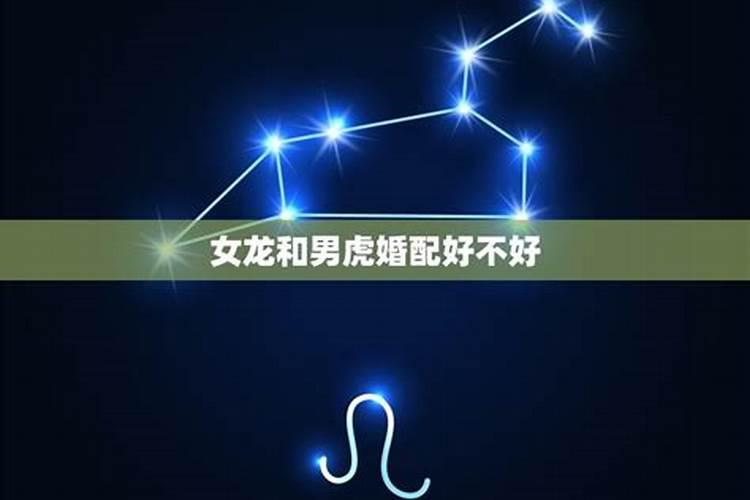 男属虎女属龙婚配合适吗