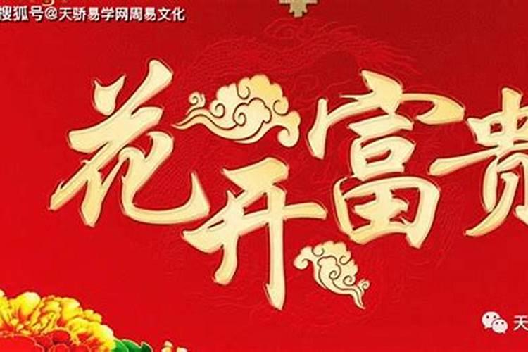 女人贵命好还是富命好