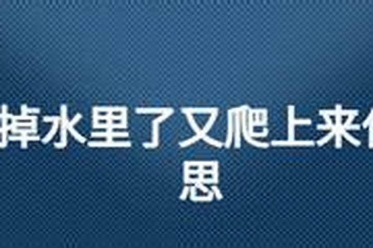 2025年属兔人的全年运势1999年出生