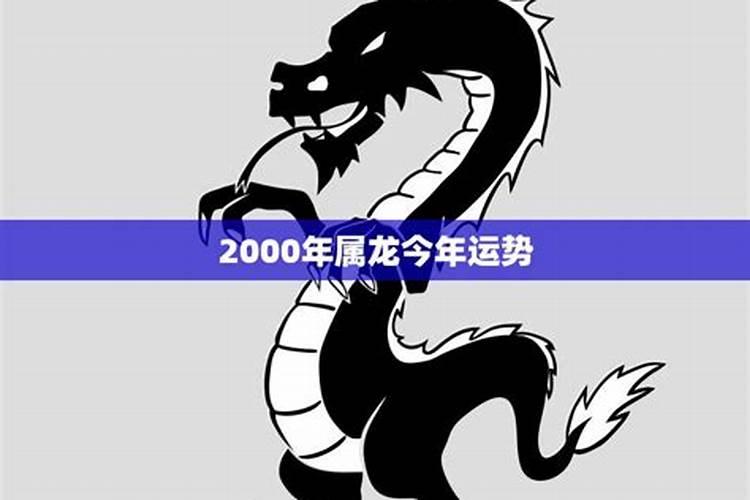 2000年属龙人2024年运势