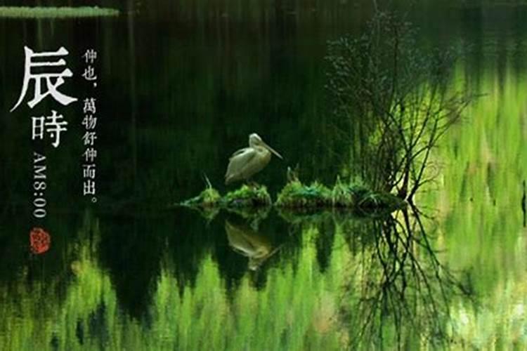 1991属羊哪一年运气最好