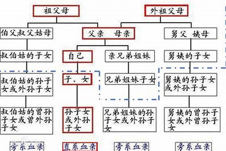 三代以内是怎么计算的