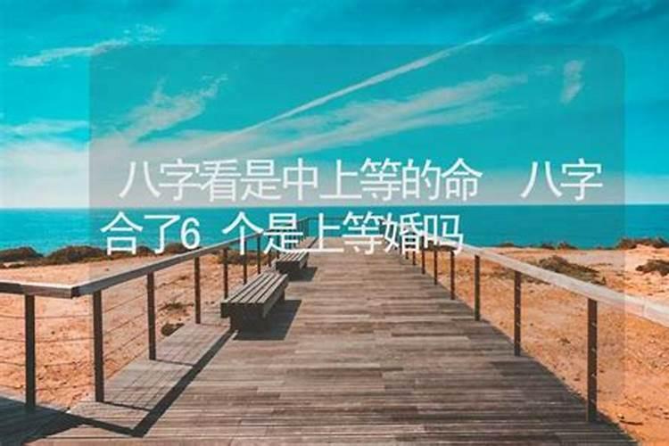 适合做夫妻的男女属相,什么属相的夫妻最般配