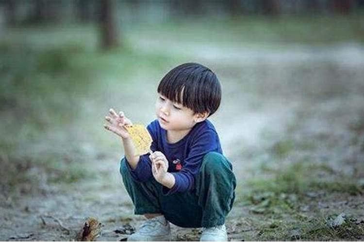 立冬出生的男孩子命运 财利双收好命属相？