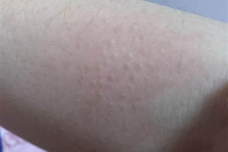 温州地区划龙舟都要摆 “香案”,有谁知道香案的来历和代表的含义...