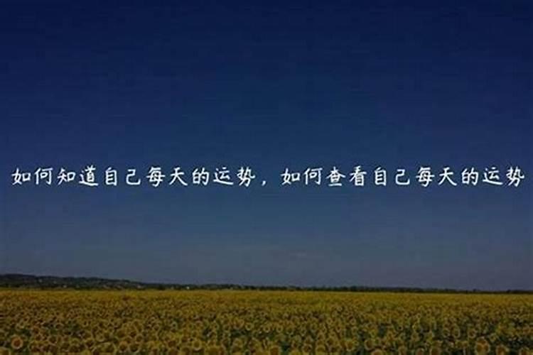 怎么看自己什么命
