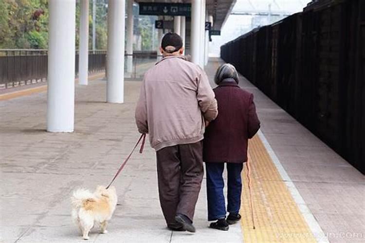 梦见开劳斯莱斯带着亲人回家？