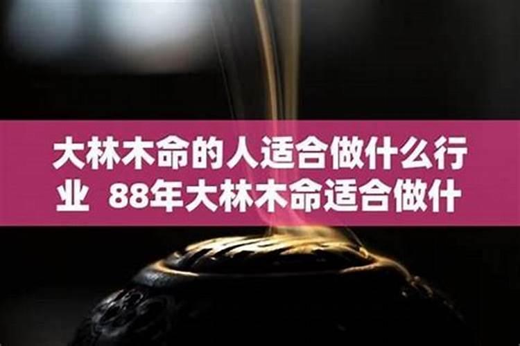 大林木命的女人适合做什么生意？