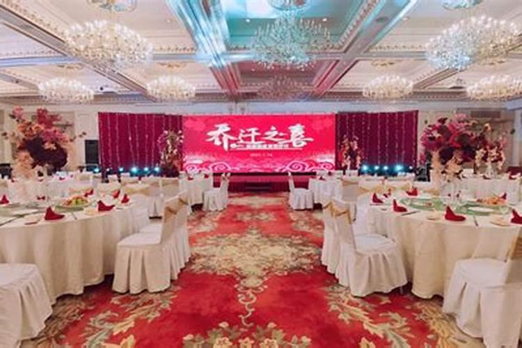 养什么花最旺财好运女孩