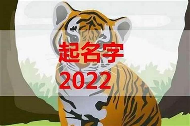 100个属虎男孩阳光霸气的名字 虎年男宝宝取名最佳用字