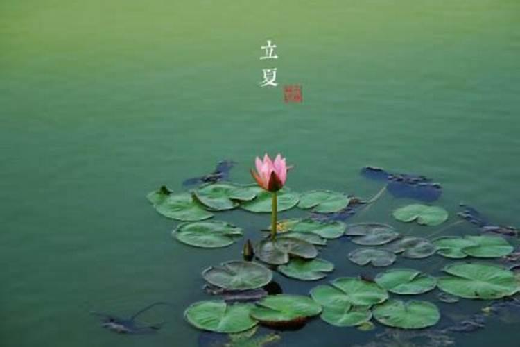 端午节可以出去玩吗有什么禁忌