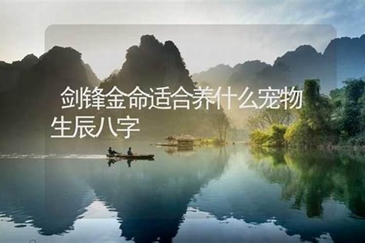看看我的生辰五行八字属什么,是否适合养鱼,养什么颜色的,多少条百 ...