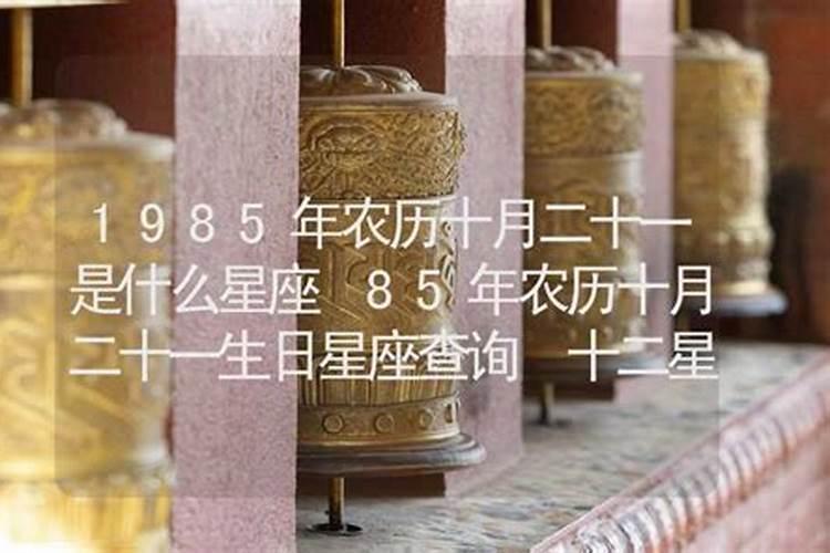 1985属牛人2024年全年运势详解