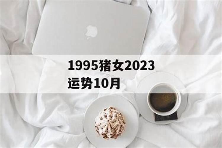1995年农历10月生的,今年桃花运怎么样