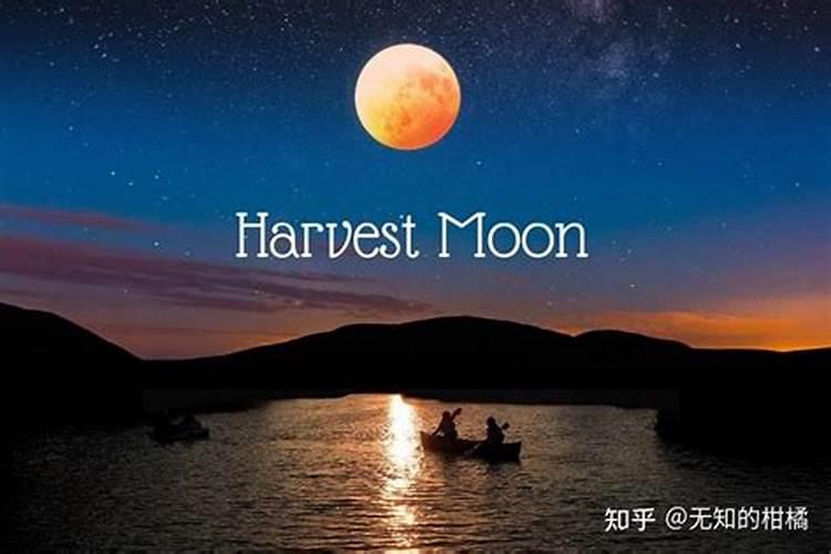 属相猪,哪几个月份出生“十猪九富”？拥有富贵命