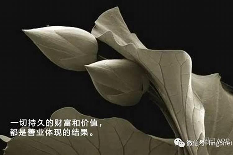 化太岁手链戴哪只手