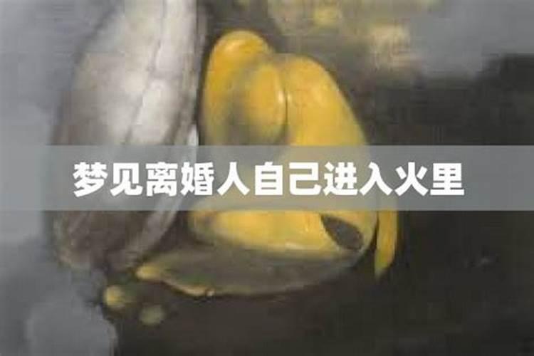 白羊座的运势