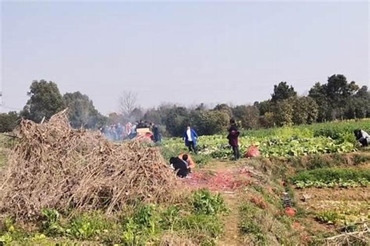 淘宝不是同城,卖家选择无需物流,算犯规吗