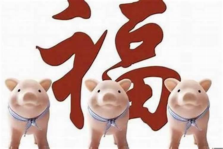 71年猪2025年运势和财运怎么样