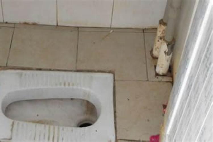 属猴和什么属相犯冲？和什么属相相宜？