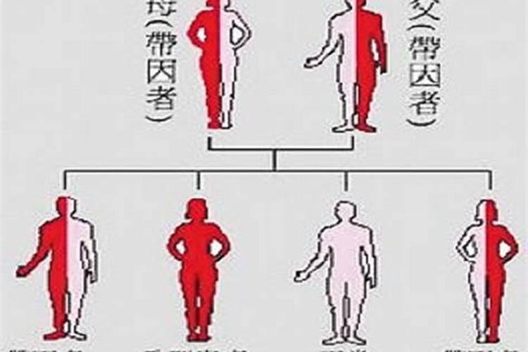 B地贫基因突变是什么意思