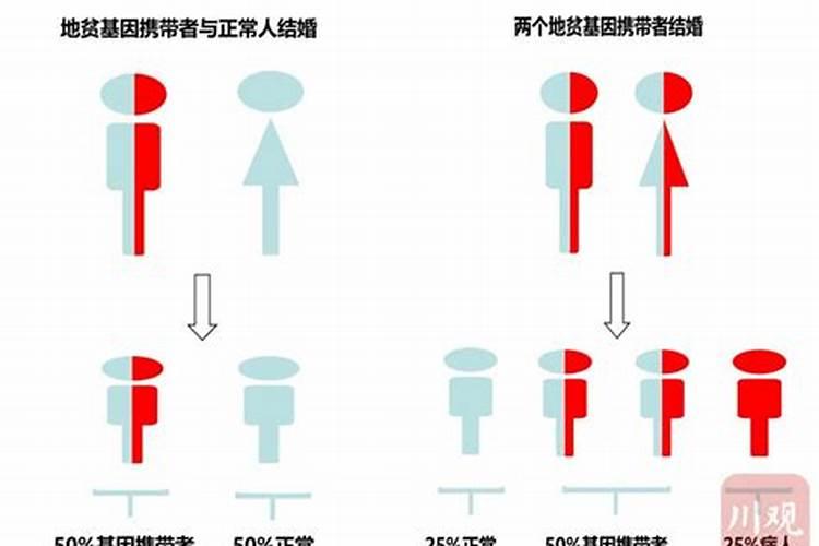 做地贫基因检测需要多长时间出结果