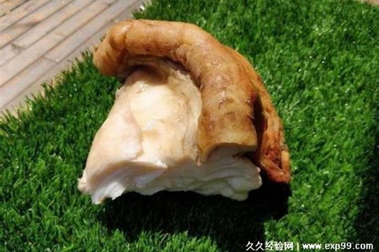肉灵芝太岁是什么东西