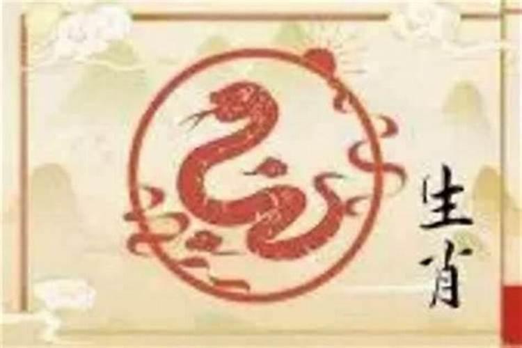 属蛇男和属蛇女的婚姻 属蛇男和属蛇女合适吗