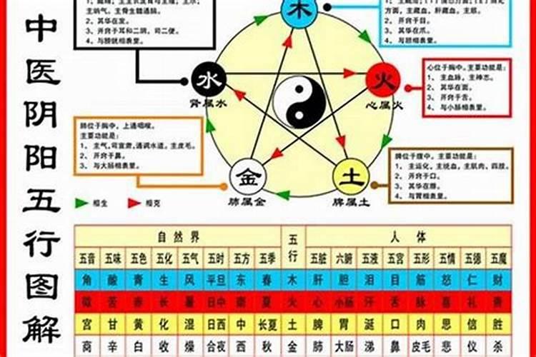 怎样看自己属金,木,水,火还是土