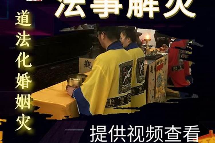 官符在十二宫男女
