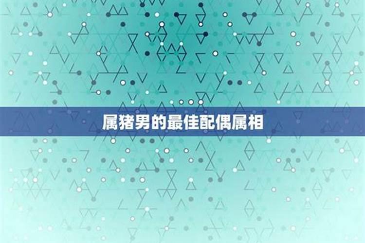 属猪的和什么属相最配