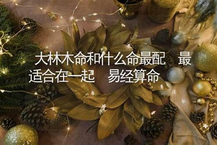 大林木命是什么意思