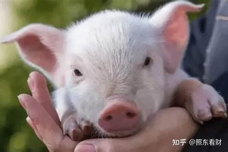 农厉十月初一是什么节(有什么意义)