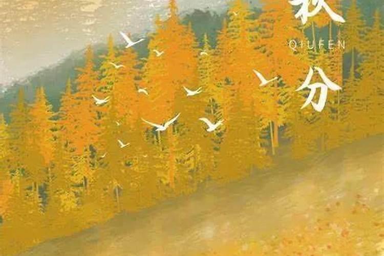 梦见和同学去玩的预兆
