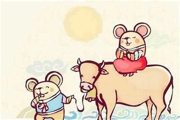 本命年男属牛与属虎女宜合婚吗