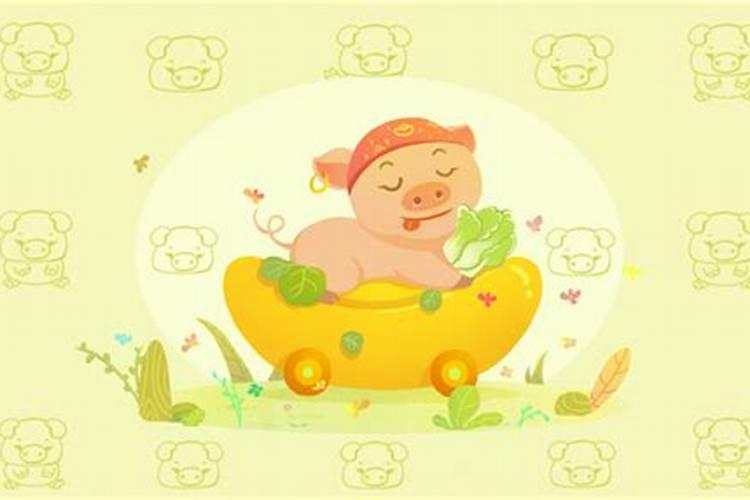 95属猪哪一年会动婚