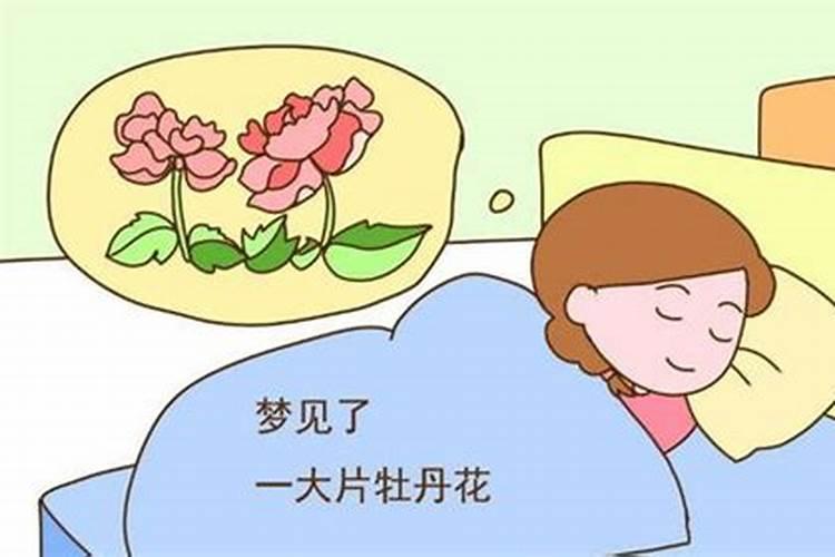 如果做梦梦到自己是什么征兆