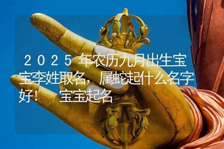 2025年10月20号阴历九月初四出生的男孩生辰八字起名
