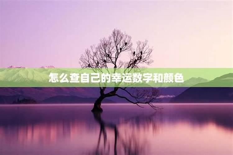 怎么查自己的幸运数字