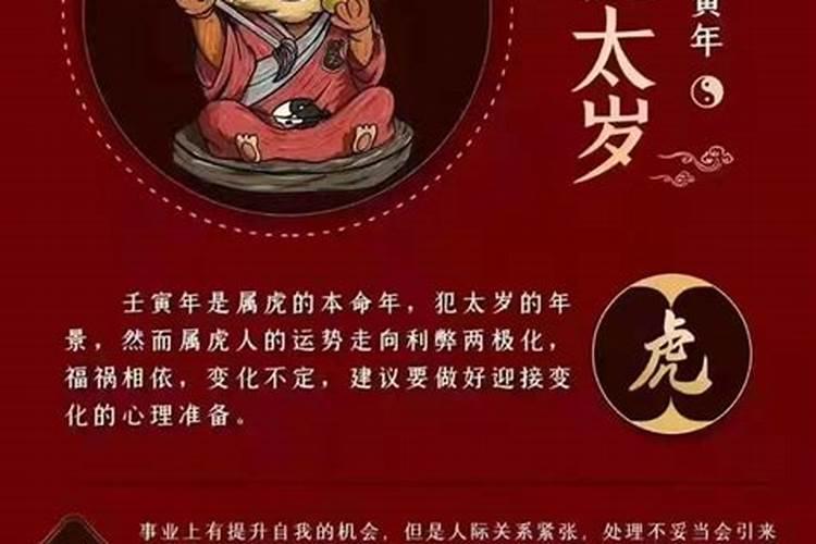 清明节祭扫活动感悟