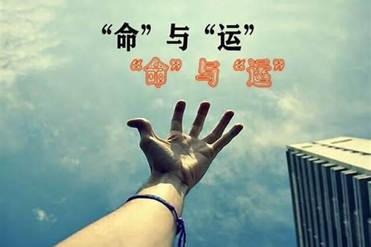 生肖猪1971年2025年运势如何 生肖猪1971年2025年全年运势